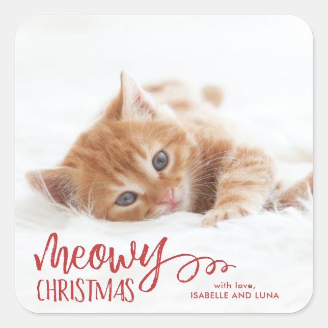 Sticker de Noël pour animaux de compagnie Meowy (Devant)