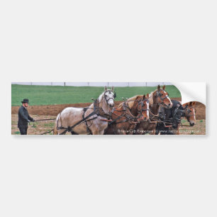 Sticker de pare-chocs de l'équipe Amish