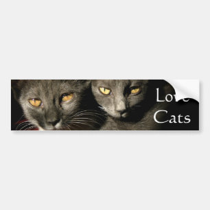 Sticker de pare-chocs Love Cats