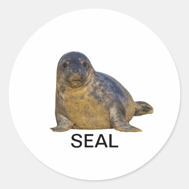 Sticker de phoque 02 (Devant)