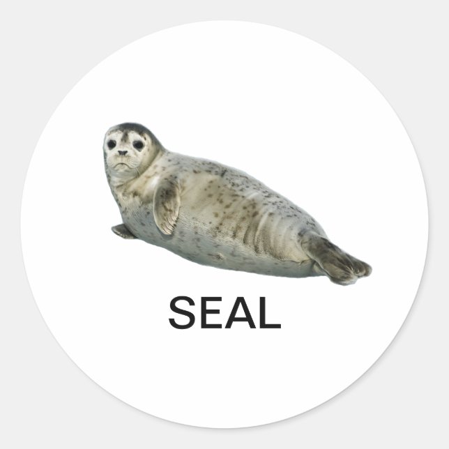 Sticker de phoque 05 (Devant)