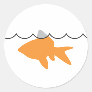 Sticker de requin de poisson d'or