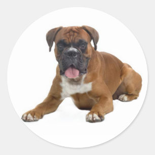 Sticker de salutation de Chien Chien Cochon Love