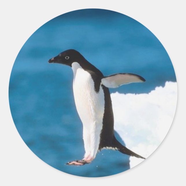 Sticker de saut de pingouin (Devant)