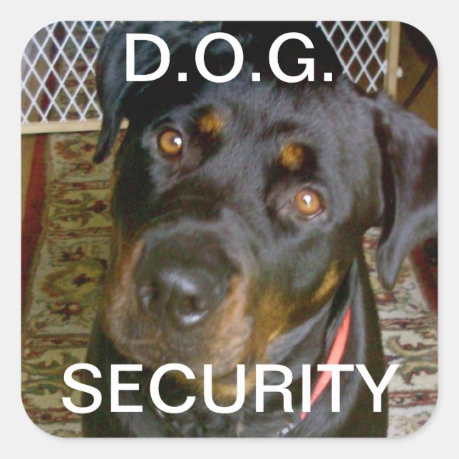 Sticker DE SÉCURITÉ D.O.G. (rottweiler) (Devant)