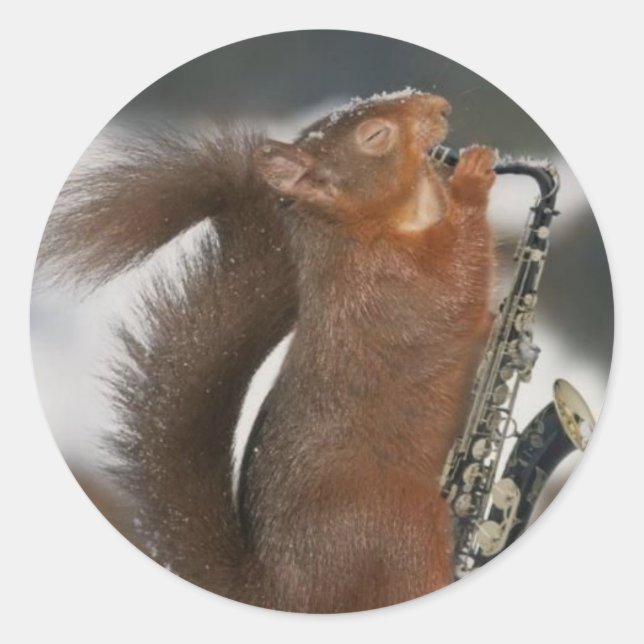 Sticker d'écureuil de musique (Devant)
