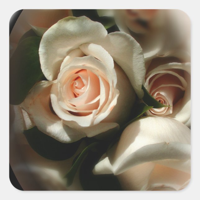 Sticker d'enveloppe Rose souple (Devant)