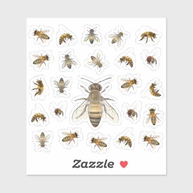 Sticker Deux douzaines d'abeilles domestiques réalistes (Feuille)