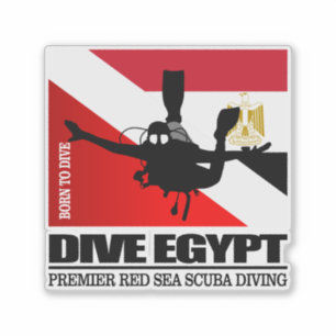 Sticker Didier Egypt DF2