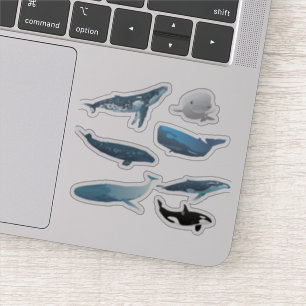 Sticker Diverses baleines