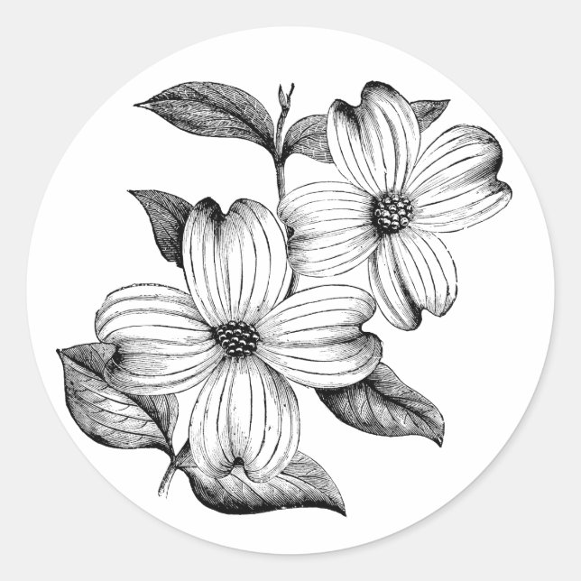 Sticker Dogwood (Devant)