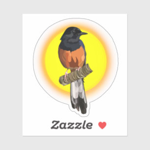 Sticker d'oiseau Shama grondé blanc