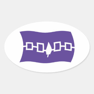 Sticker Drapeau Confederacy Iroquois