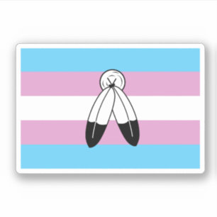 Sticker Drapeau de fierté trans bispirituel