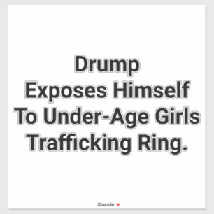 Sticker Drump s'expose à Girl Hankamer Artjunkhaus