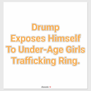 Sticker Drump s'expose à Girl Hankamer Artjunkhaus