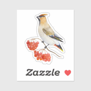 Sticker Écirage d'oiseaux de la forêt d'aquarelle
