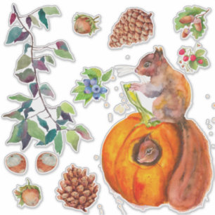 Sticker Écureuil roux forêt glands cône de pin feuilles ru