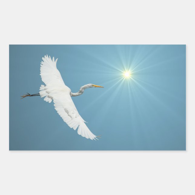 Sticker Egret 1 (Devant)