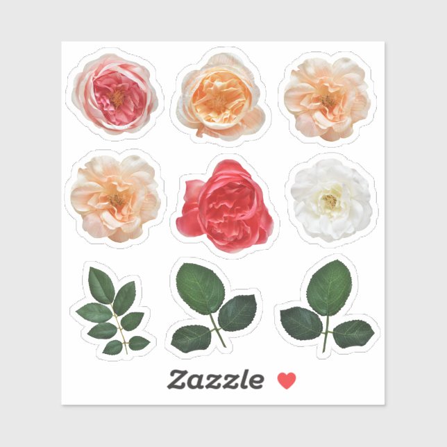 Sticker Élégant Rose Jardin Kiss Coupe Vinyl Feuille d'aut (Feuille)