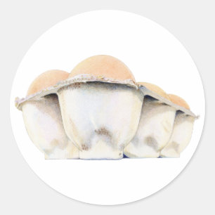 Sticker en carton d'oeufs