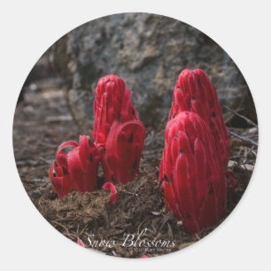 Sticker en fleurs de neige