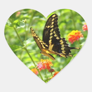 Sticker en forme de coeur brillant papillon