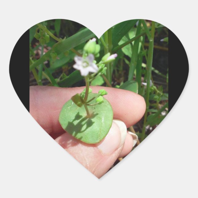 sticker en forme de coeur Little Things (Devant)