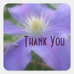 Sticker en Merci de Fleur Clematis violet