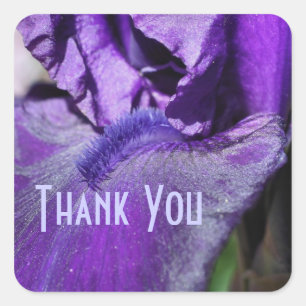 Sticker en Merci de Fleur Pétale Iris Violet