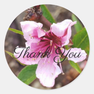 Sticker en Merci de fleurs roses