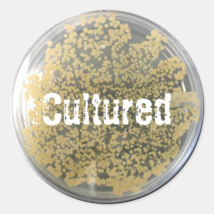 Sticker en plaque de culture bactérienne
