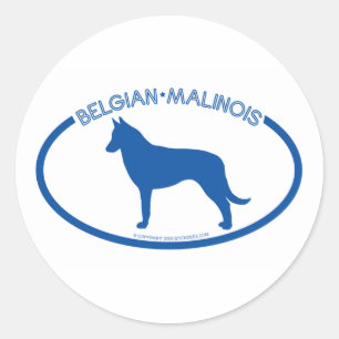 Sticker en silhouette Malinois belge