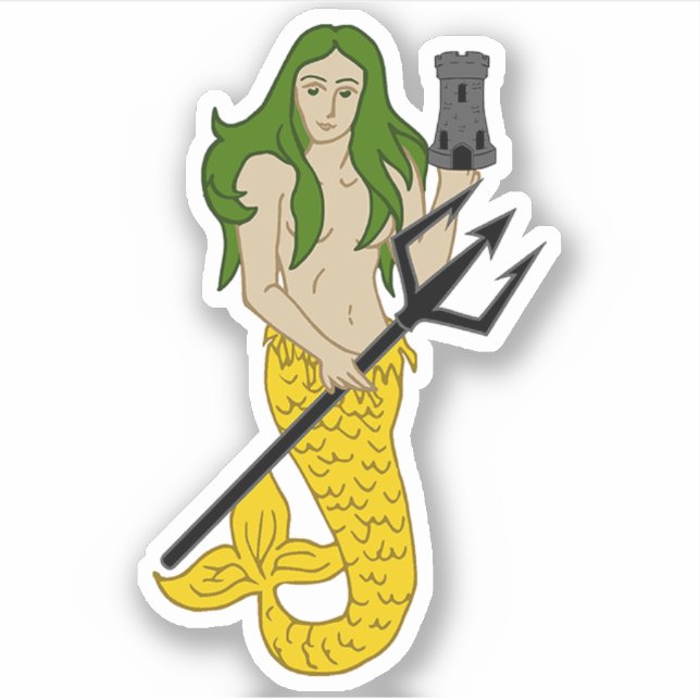 Sticker en vinyle à découpe personnalisée SCA Illi (Devant)