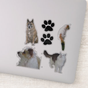 Sticker en vinyle - Chats et Chiens