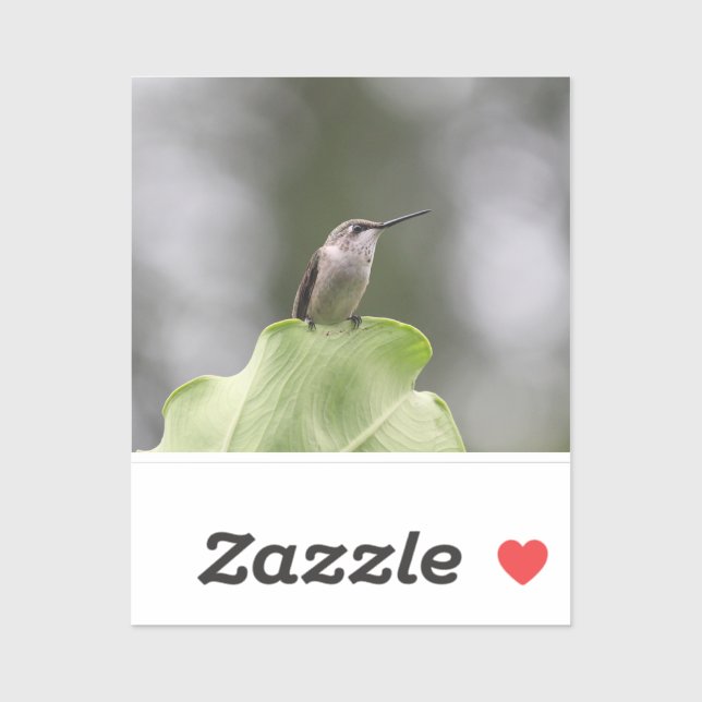 Sticker en vinyle coupé sur mesure (Feuille)