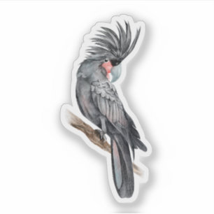 Sticker en vinyle coupé sur mesure à la palme Cock
