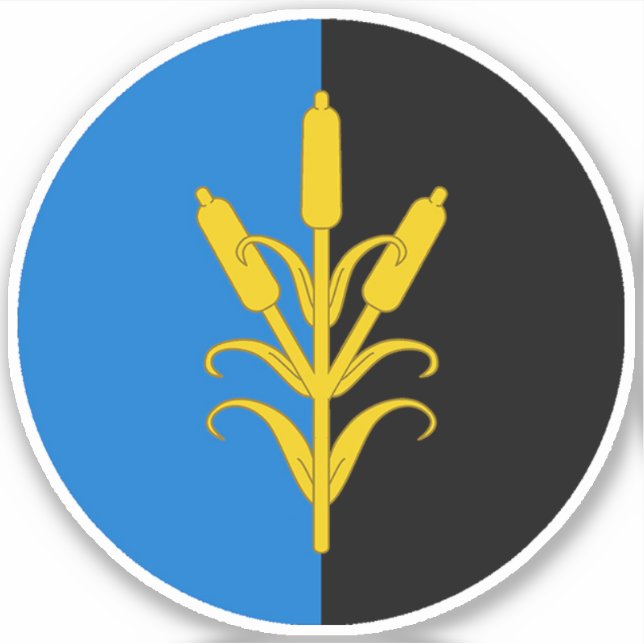 Sticker en vinyle de boîte SCA Saint Sin (Devant)