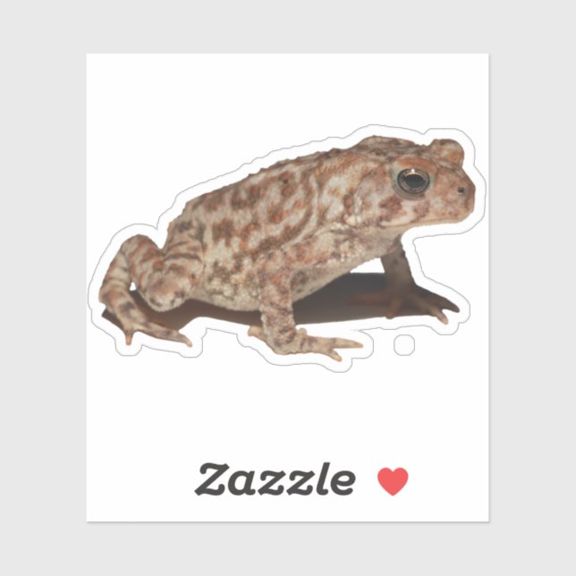 Sticker en vinyle de crapaud américain (Feuille)