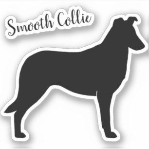Sticker en vinyle de race de chien lisse Collie Si