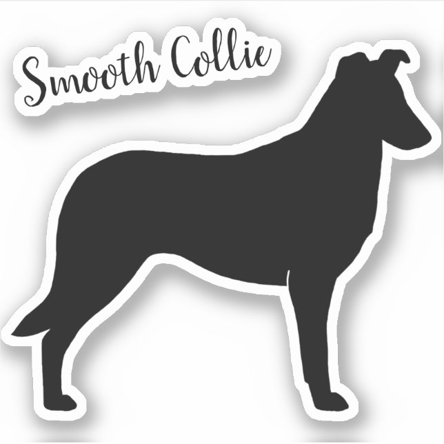 Sticker en vinyle de race de chien lisse Collie Si (Devant)
