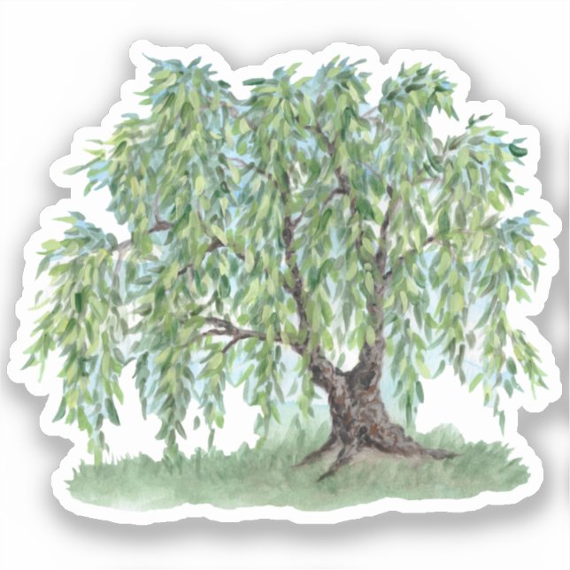 Sticker en vinyle de saule de pleurs (Recto)