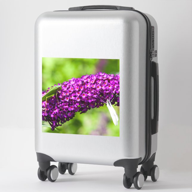 Sticker énergie katydone (Sur valise)