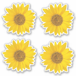 Sticker Ensemble de quatre Tournesols Jaunes Contour