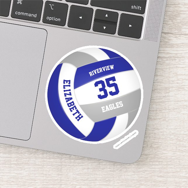 Sticker équipe bleue gris couleurs filles garçons volley-b (Détail)
