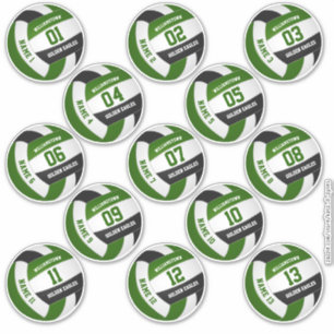 Sticker équipe de volley-ball noir vert couleurs joueurs n