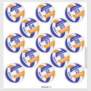Sticker équipe de volley-ball orange bleu couleurs joueurs