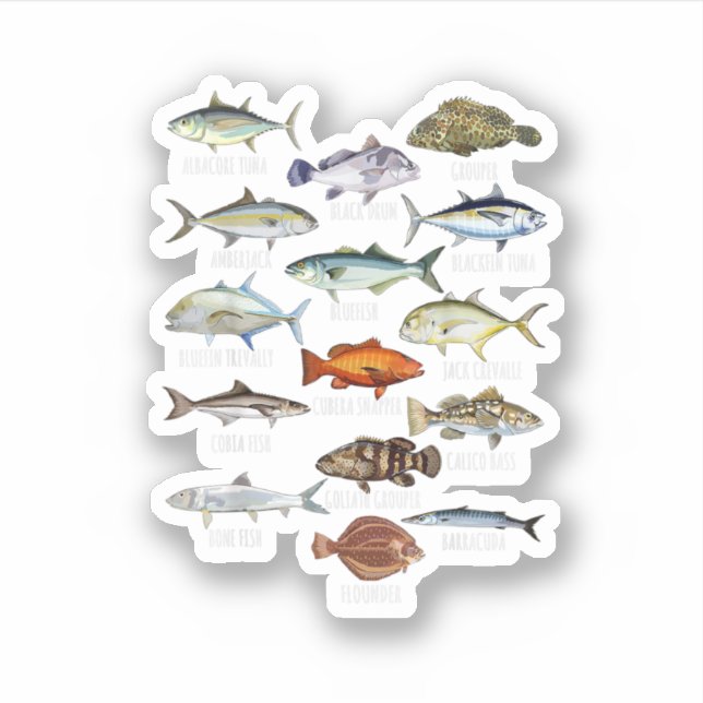 Sticker Espèces de poissons Biologie Types D'Eau Salée Poi (Devant)