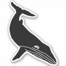 ESQUETTE DE BALEINE HUMPBACÉE