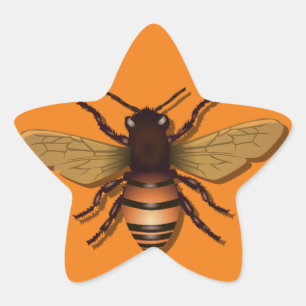 Sticker Étoile abeille-miel-insecte-mouche-miel